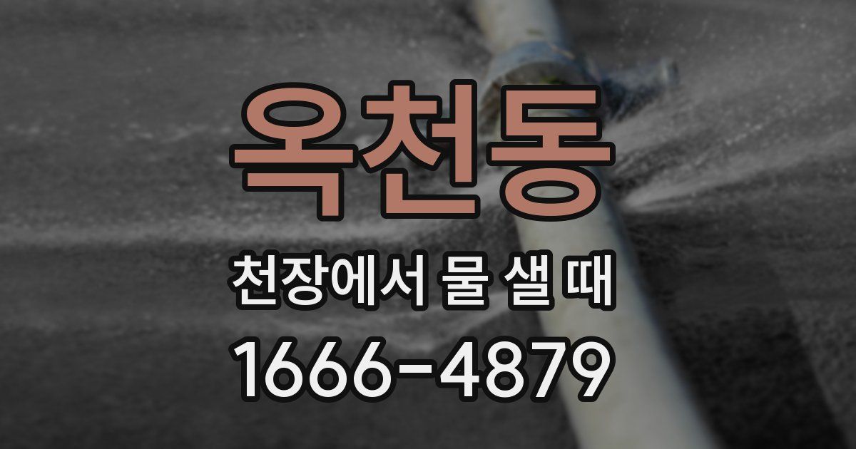 옥천동 천장에서 물 샐 때