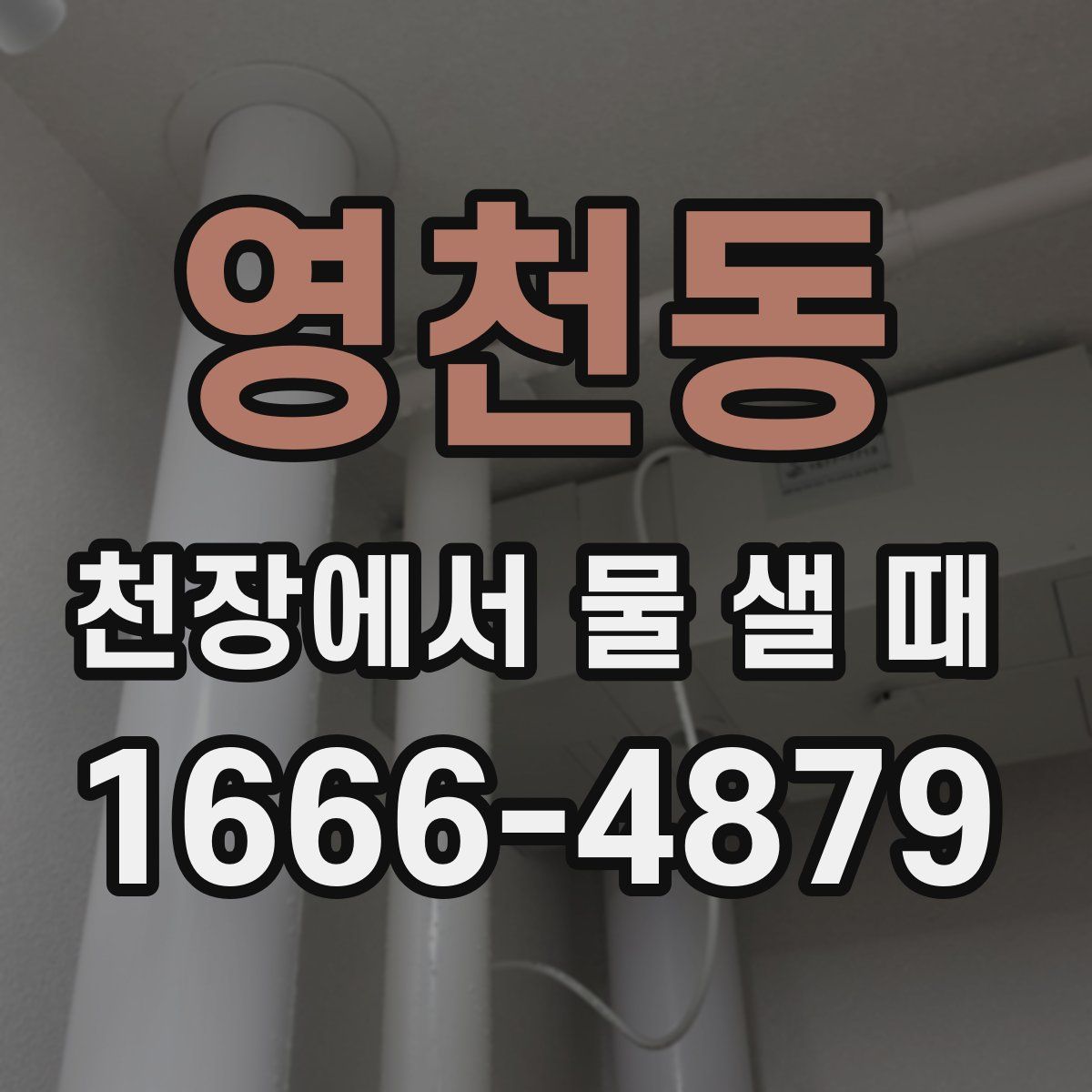 영천동 천장에서 물 샐 때