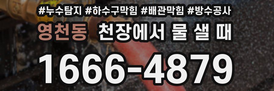 영천동 천장에서 물 샐 때