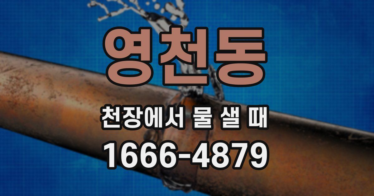 영천동 천장에서 물 샐 때