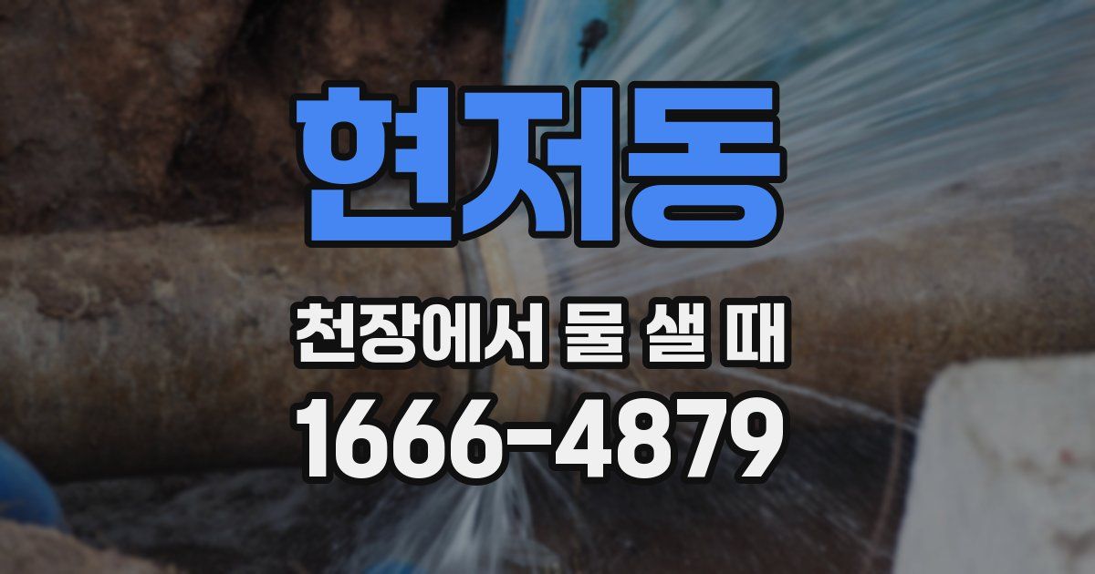 현저동 천장에서 물 샐 때
