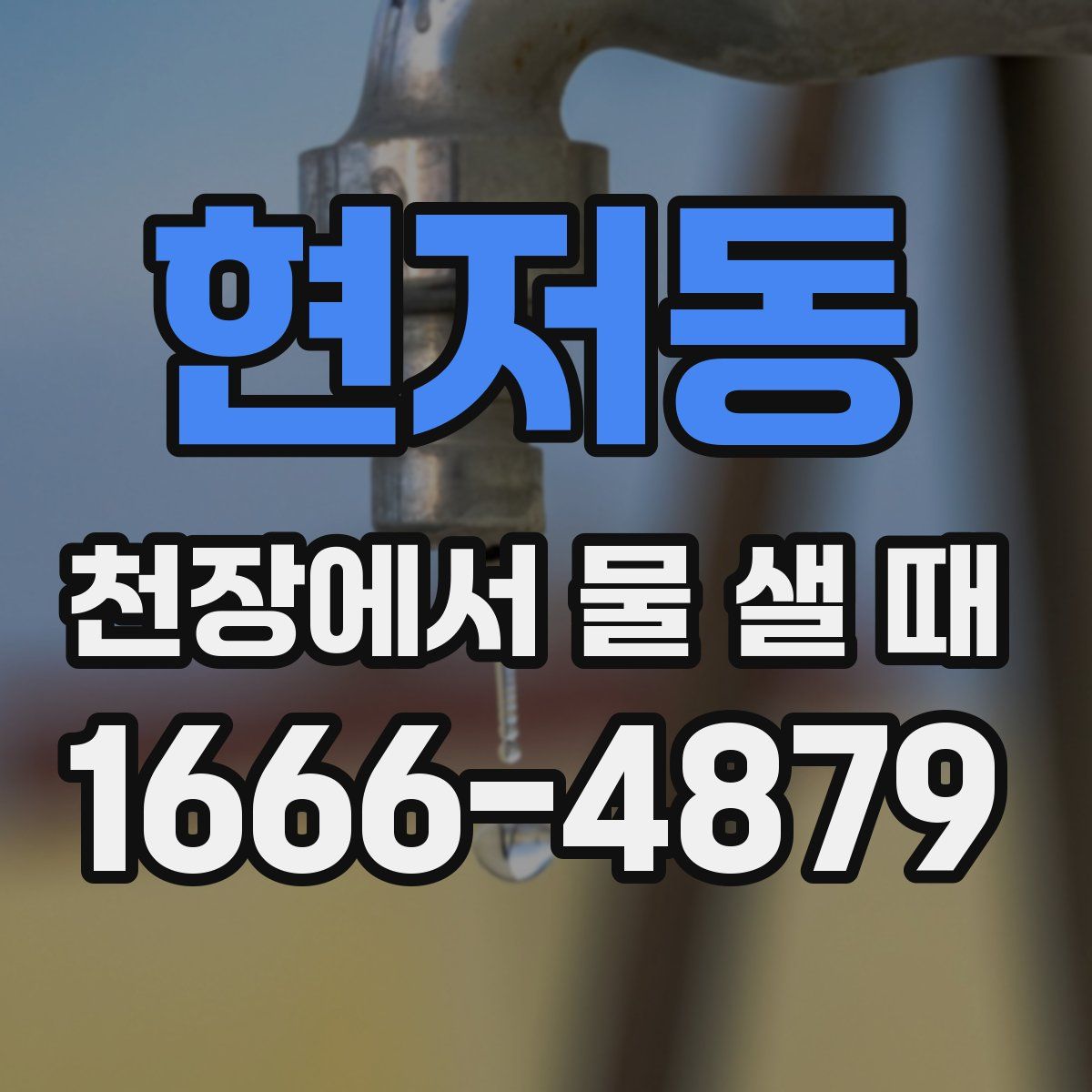 현저동 천장에서 물 샐 때