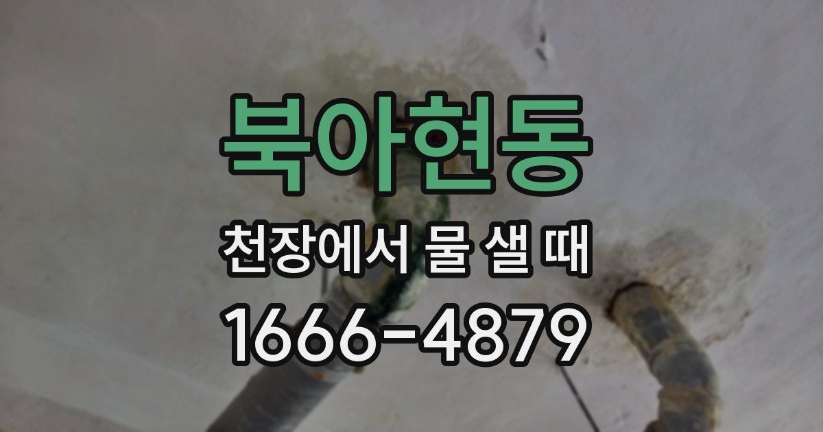 북아현동 천장에서 물 샐 때