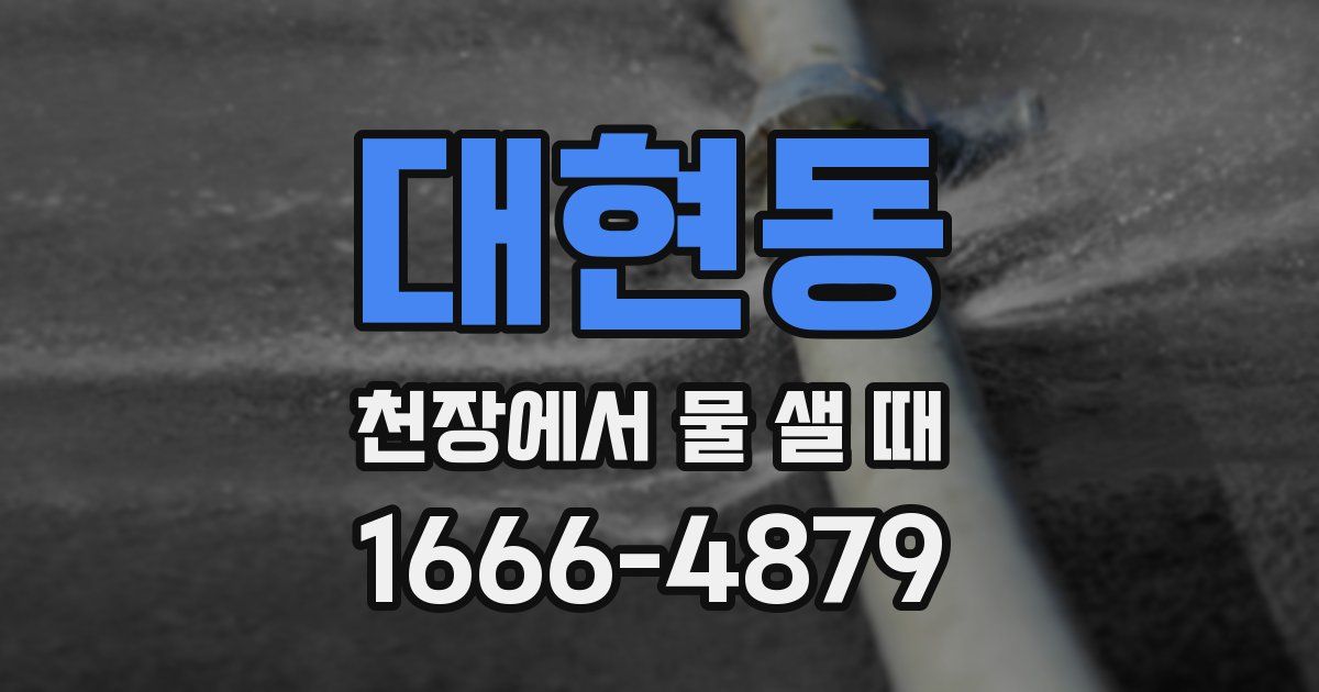 대현동 천장에서 물 샐 때