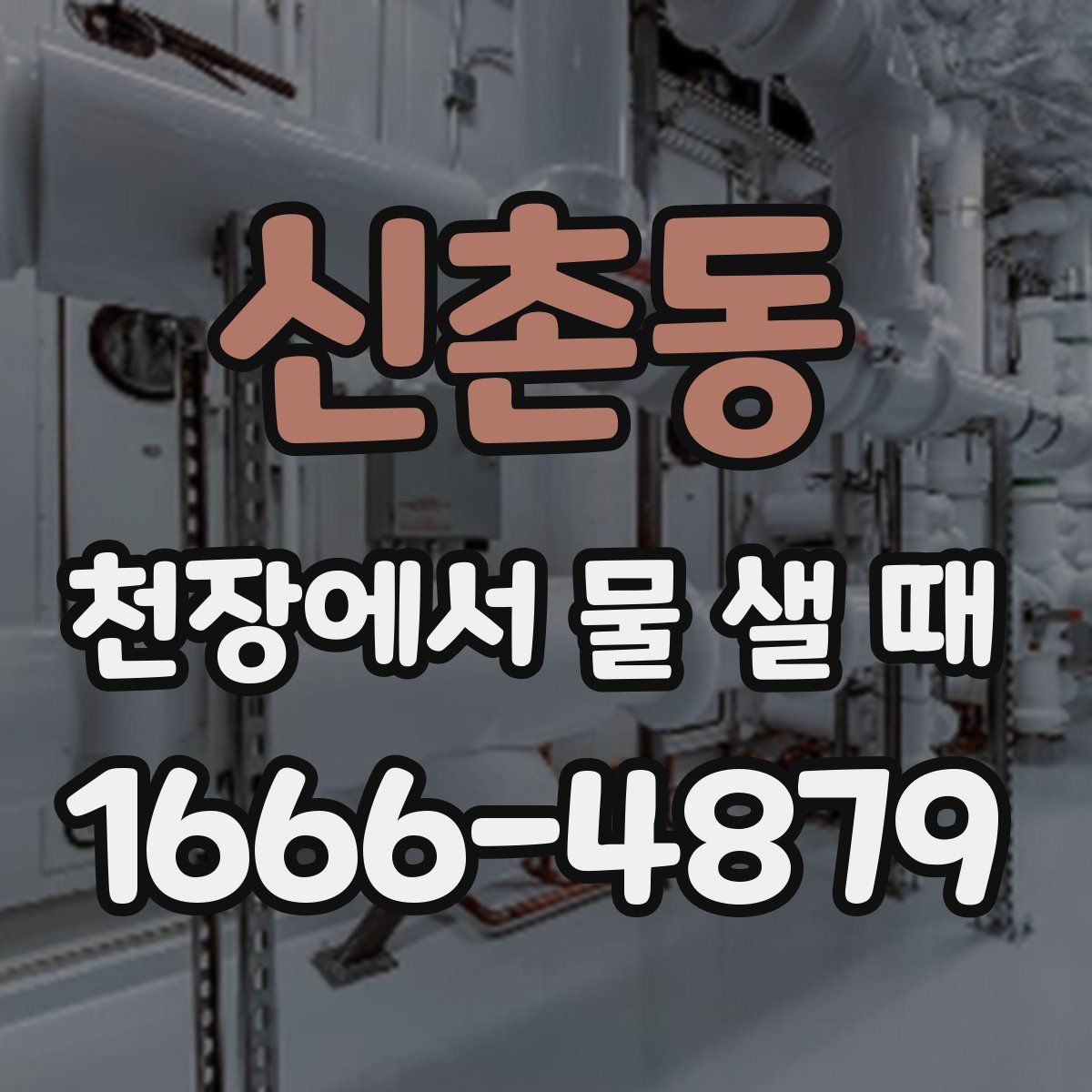 신촌동 천장에서 물 샐 때