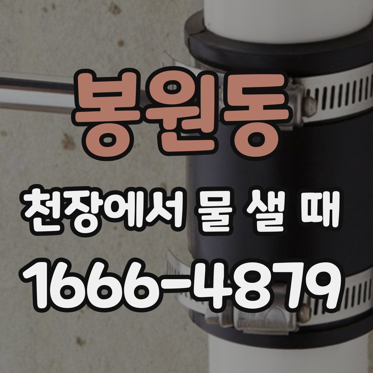 봉원동 천장에서 물 샐 때