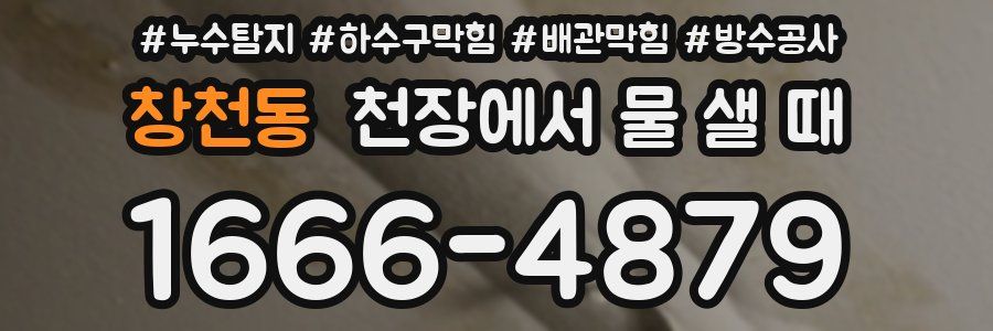 창천동 천장에서 물 샐 때