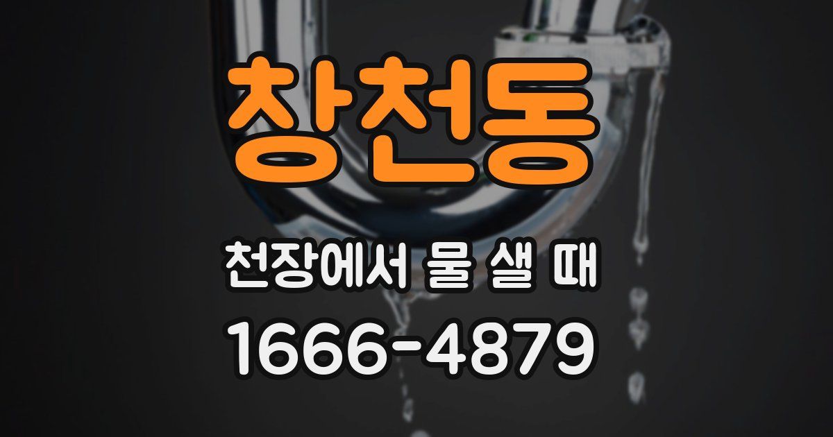 창천동 천장에서 물 샐 때