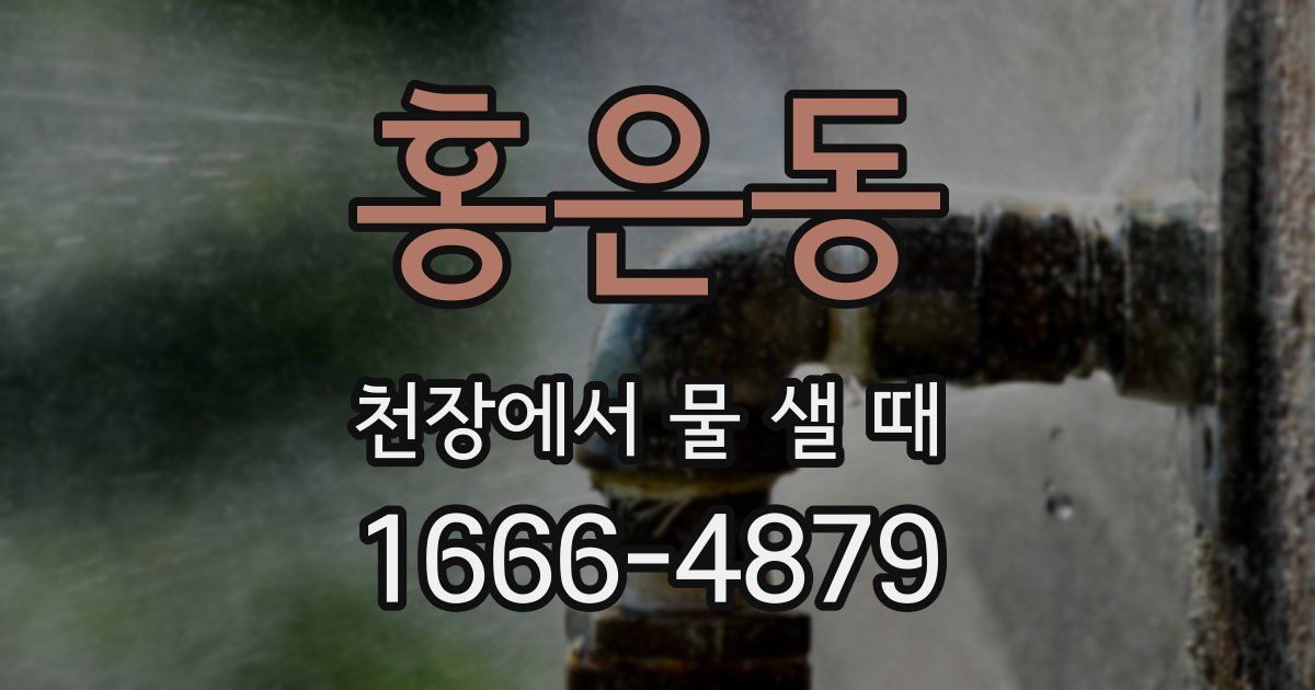 홍은동 천장에서 물 샐 때