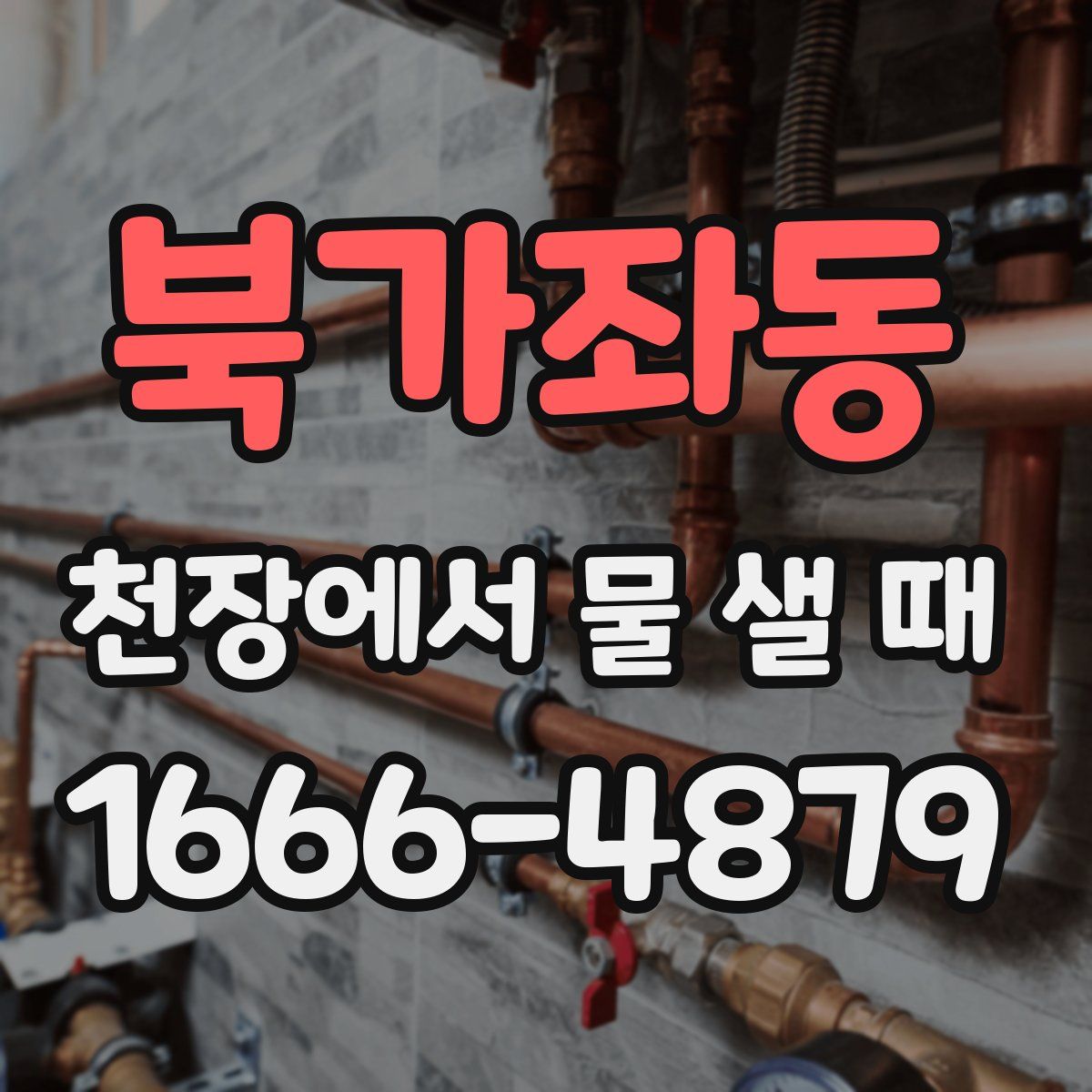 북가좌동 천장에서 물 샐 때