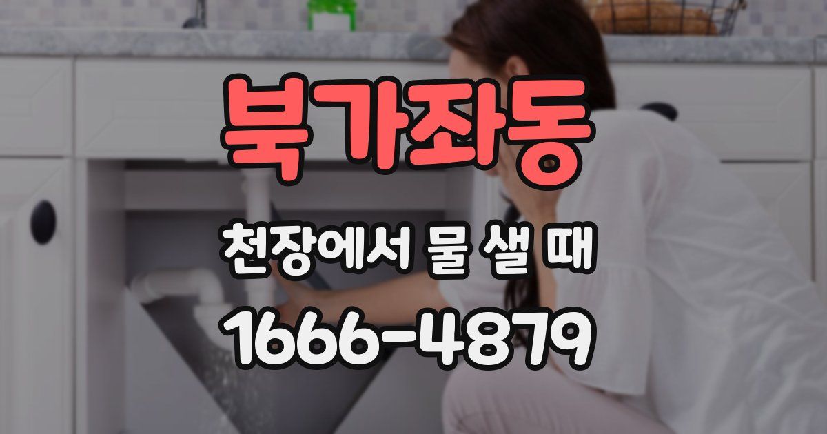 북가좌동 천장에서 물 샐 때