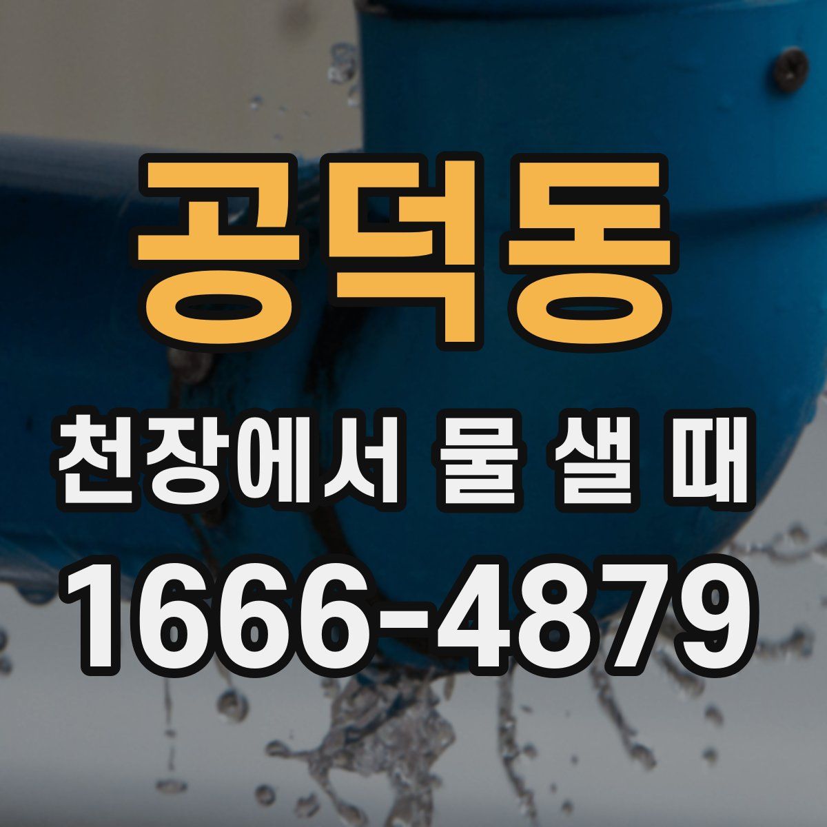 공덕동 천장에서 물 샐 때