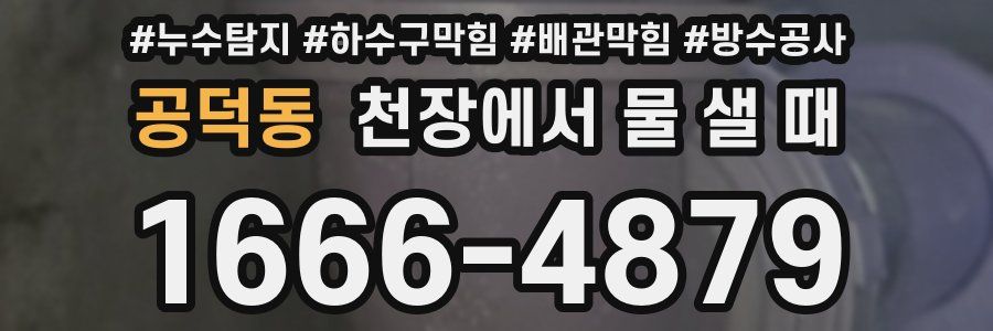 공덕동 천장에서 물 샐 때