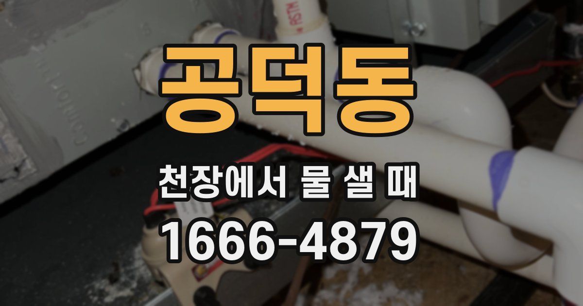 공덕동 천장에서 물 샐 때