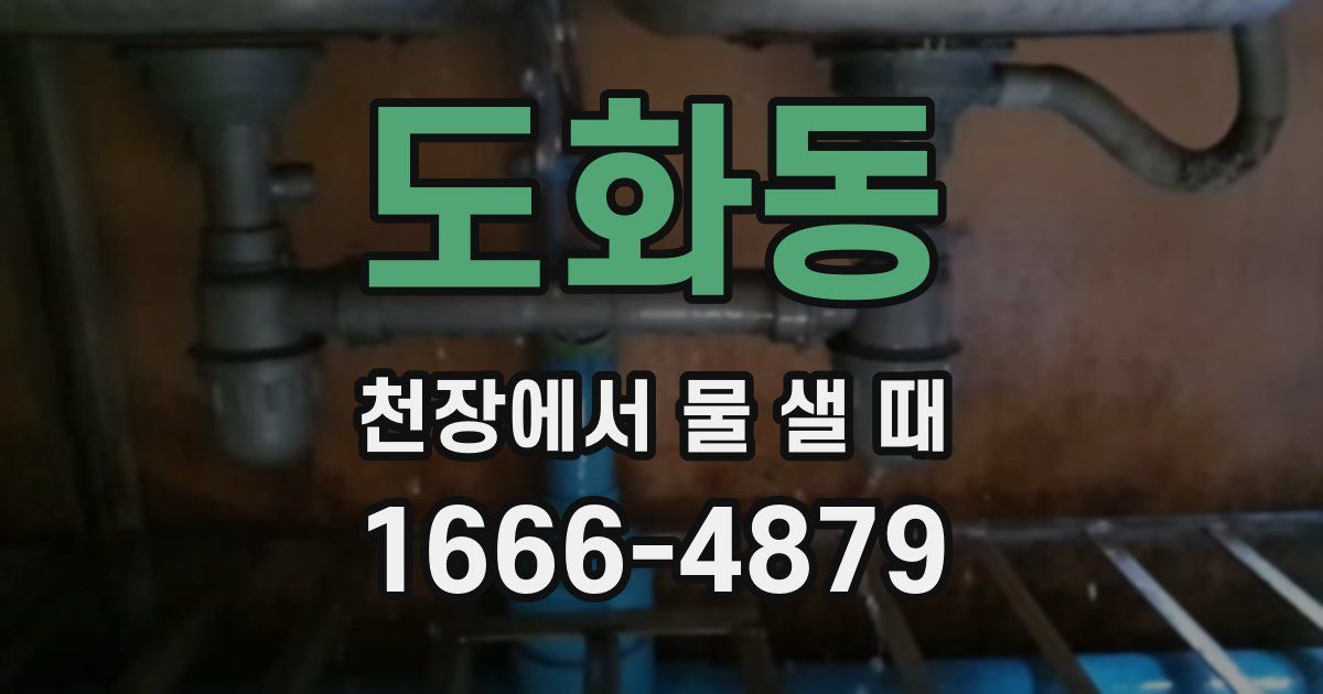 도화동 천장에서 물 샐 때