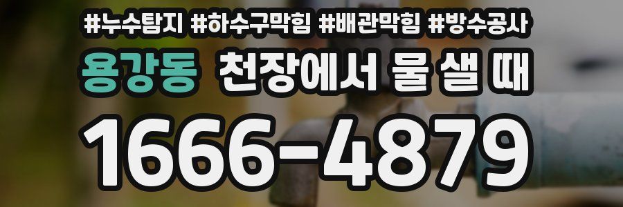 용강동 천장에서 물 샐 때