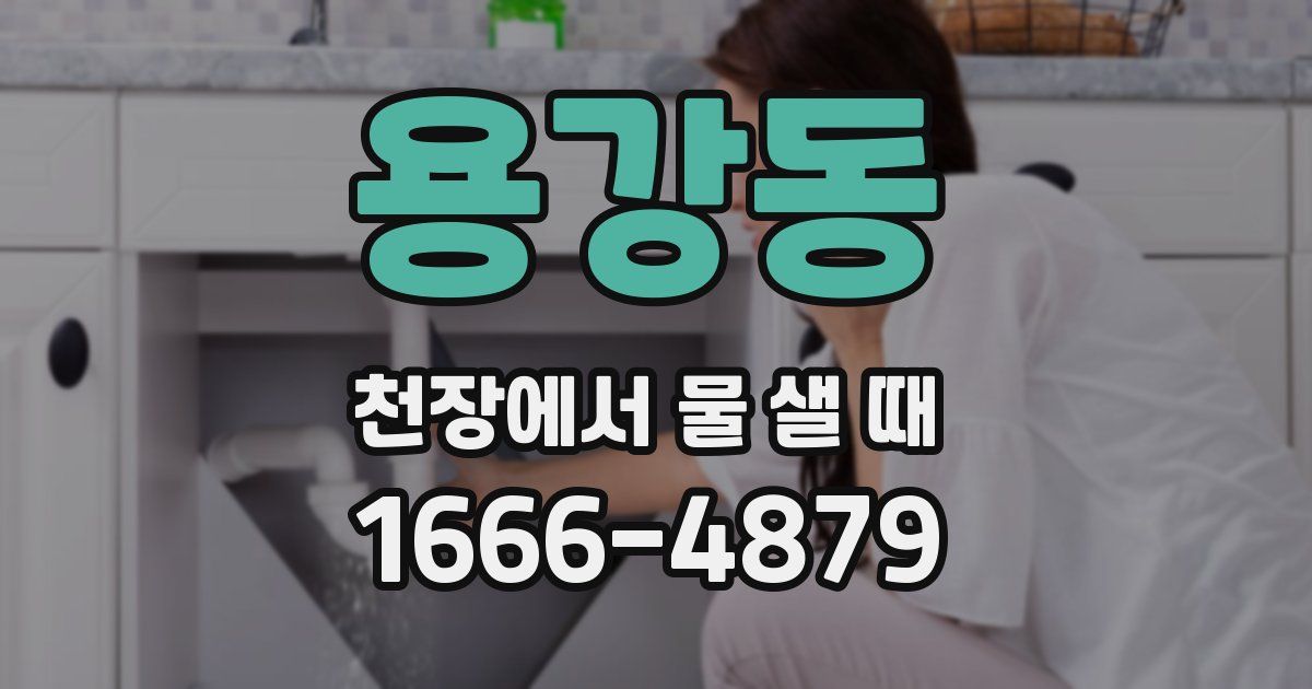 용강동 천장에서 물 샐 때