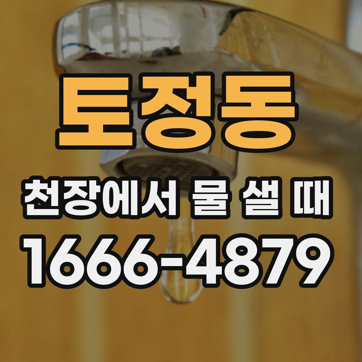 토정동 천장에서 물 샐 때
