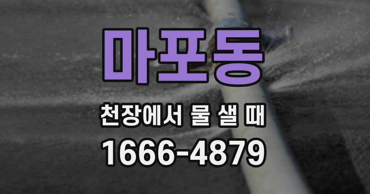 마포동 천장에서 물 샐 때