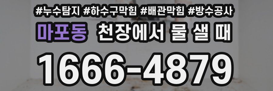 마포동 천장에서 물 샐 때