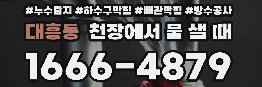 대흥동 천장에서 물 샐 때