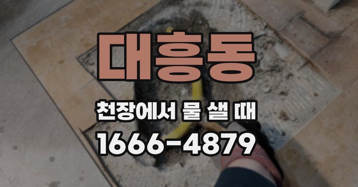 대흥동 천장에서 물 샐 때