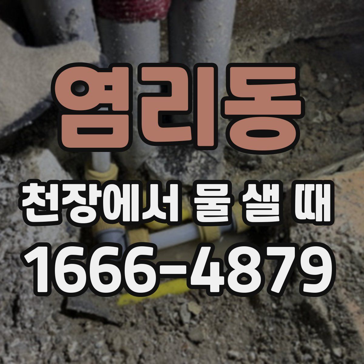 염리동 천장에서 물 샐 때