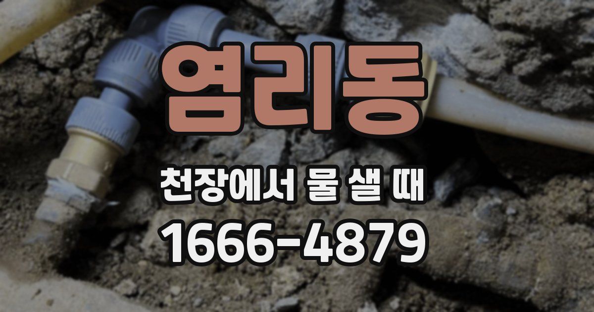 염리동 천장에서 물 샐 때