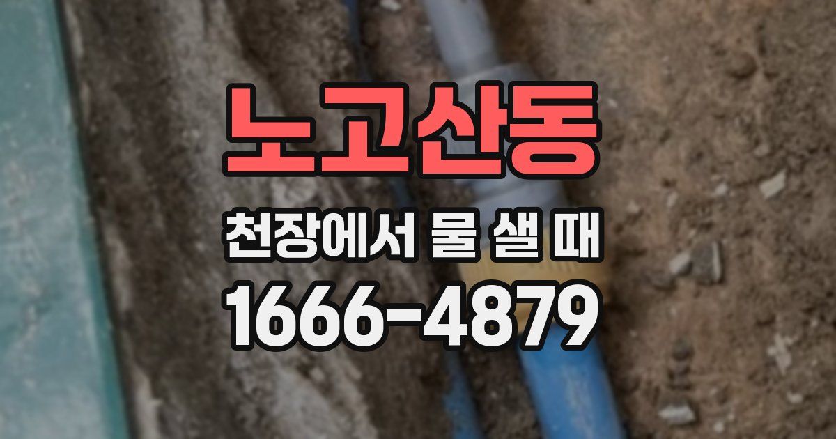 노고산동 천장에서 물 샐 때