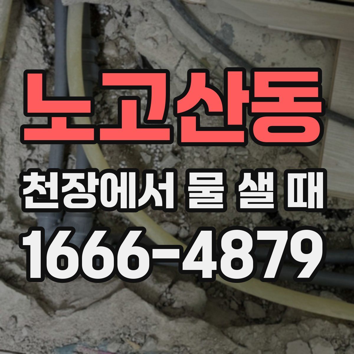 노고산동 천장에서 물 샐 때