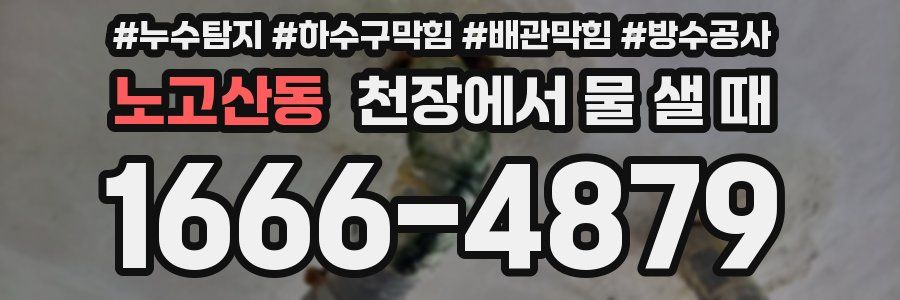 노고산동 천장에서 물 샐 때