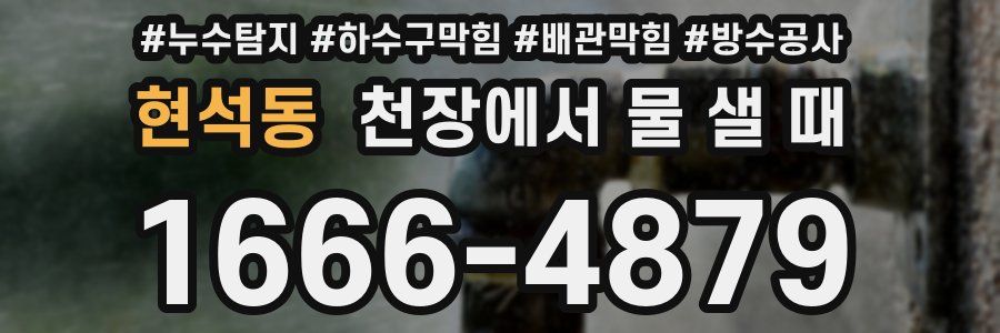 현석동 천장에서 물 샐 때