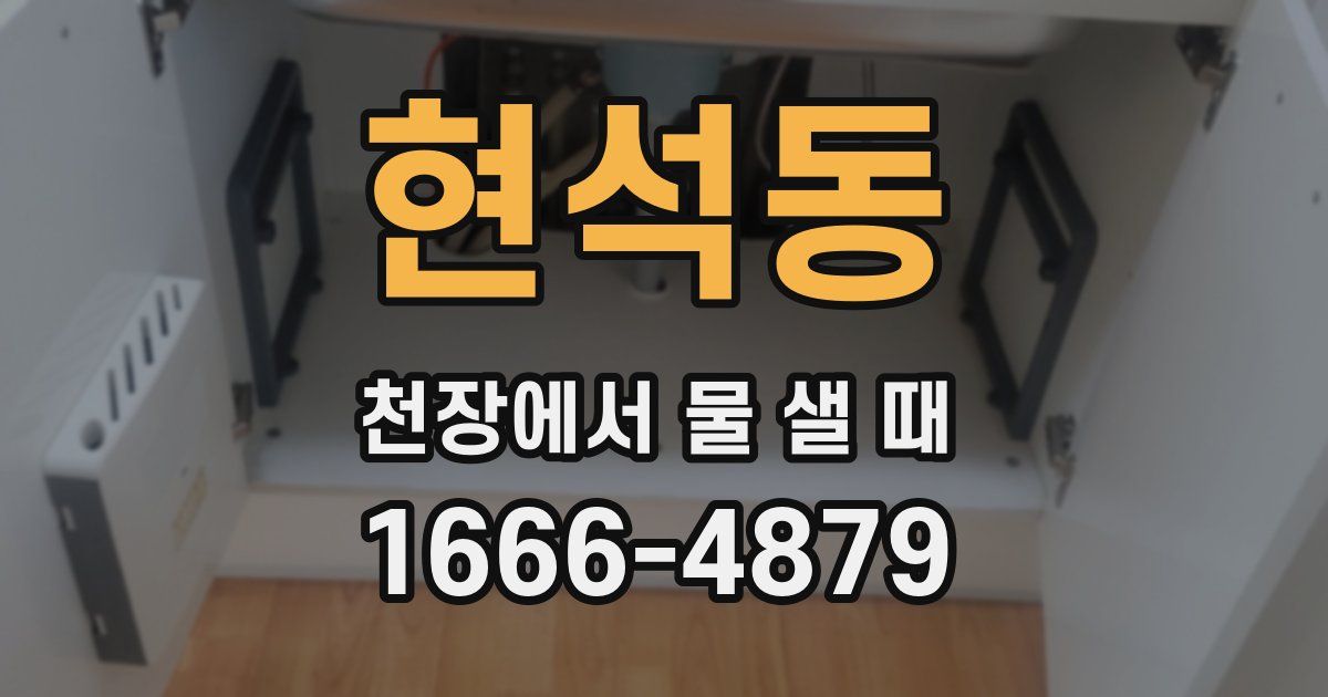 현석동 천장에서 물 샐 때