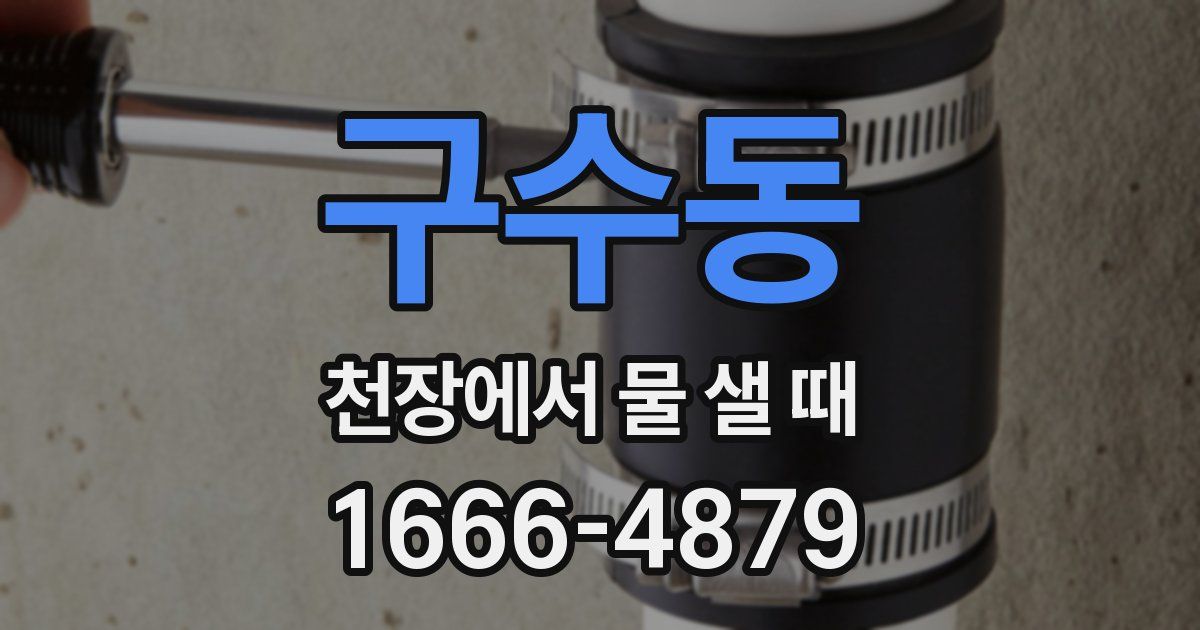 구수동 천장에서 물 샐 때