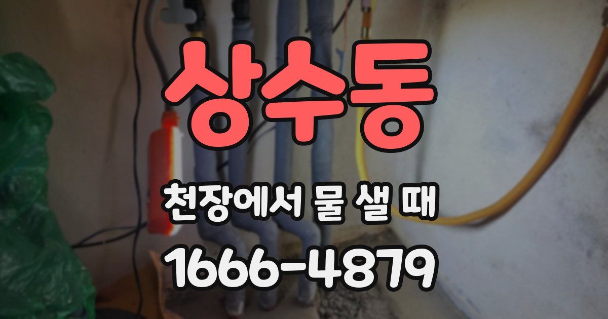 상수동 천장에서 물 샐 때