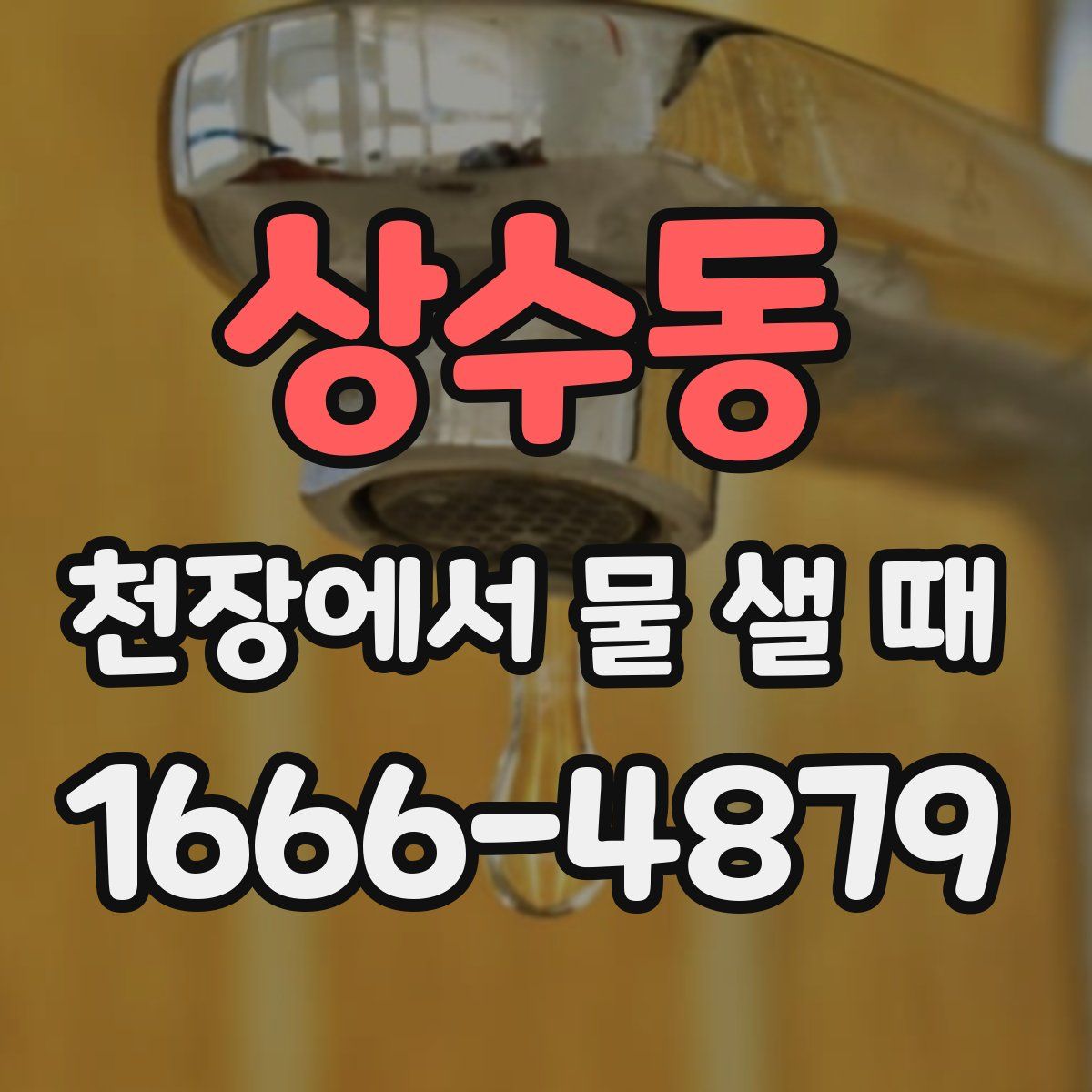상수동 천장에서 물 샐 때