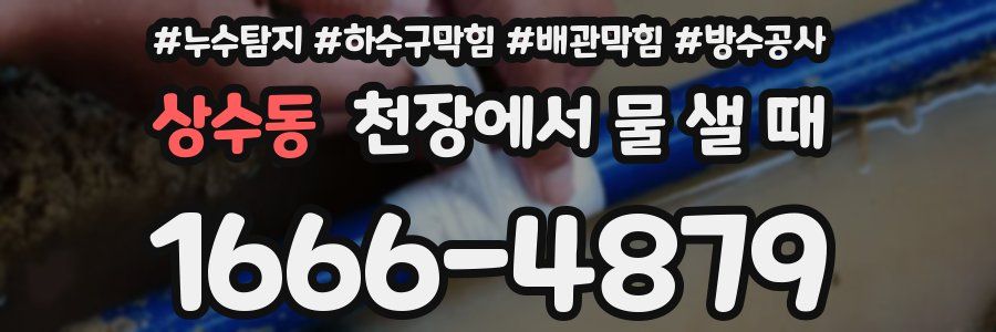 상수동 천장에서 물 샐 때