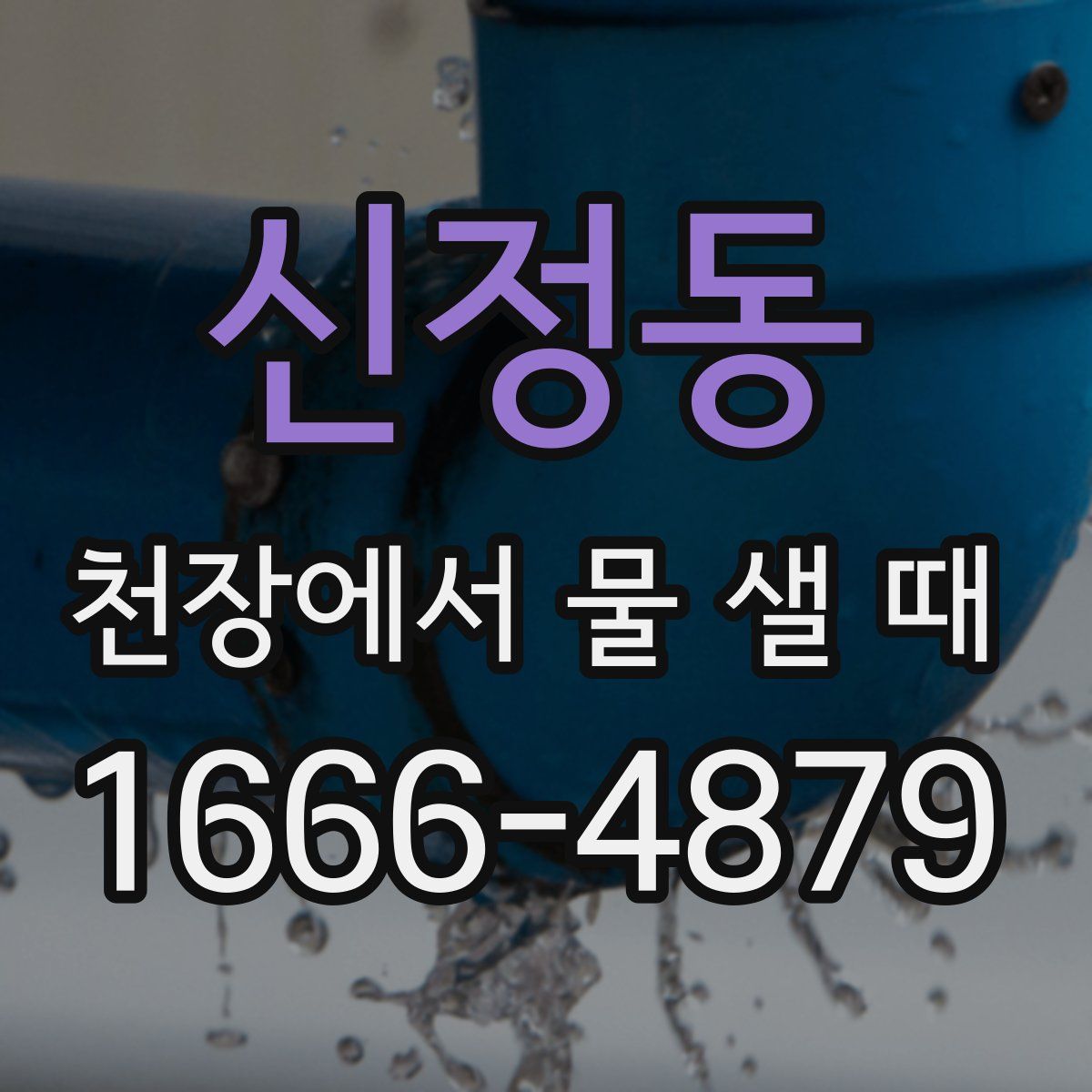 신정동 천장에서 물 샐 때