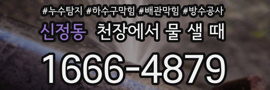 신정동 천장에서 물 샐 때