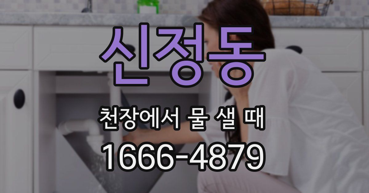 신정동 천장에서 물 샐 때