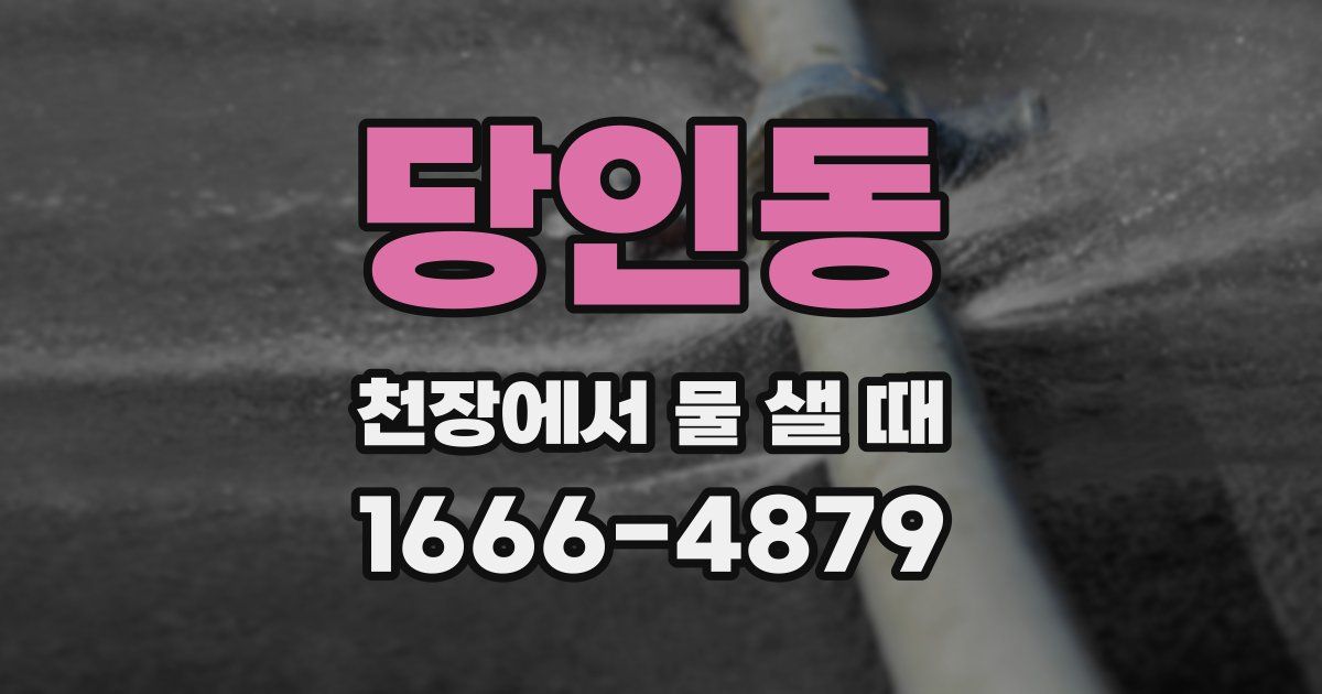 당인동 천장에서 물 샐 때