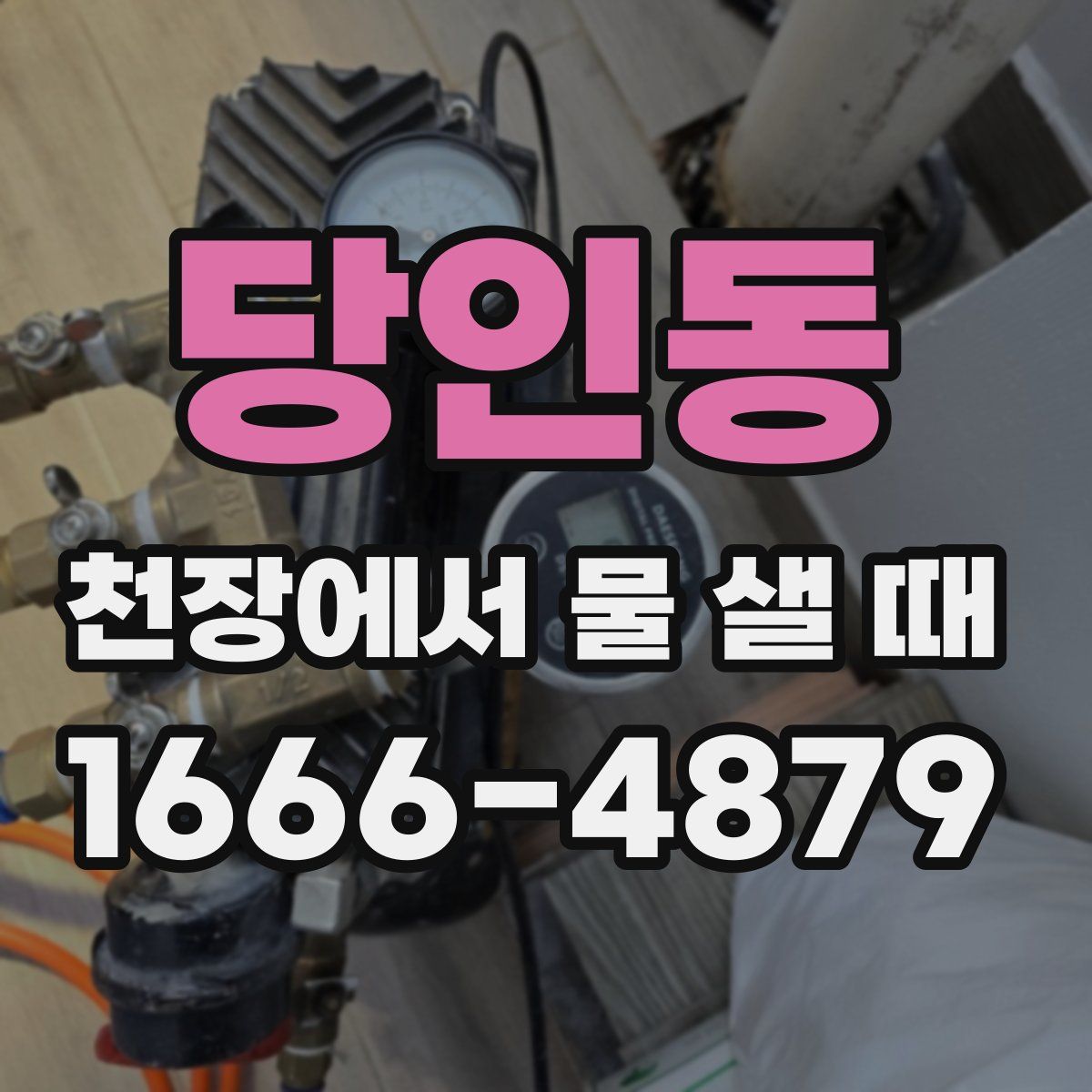 당인동 천장에서 물 샐 때