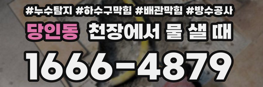 당인동 천장에서 물 샐 때