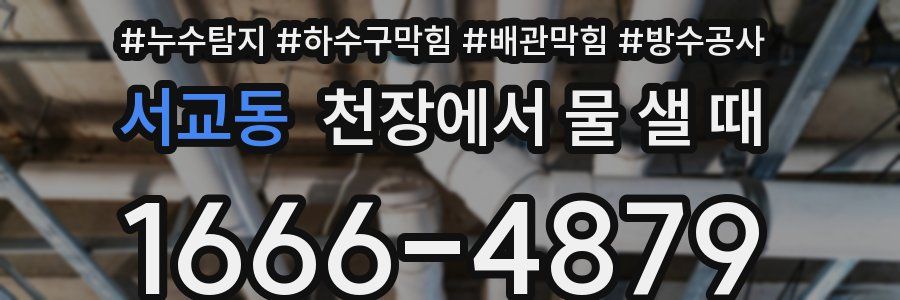 서교동 천장에서 물 샐 때
