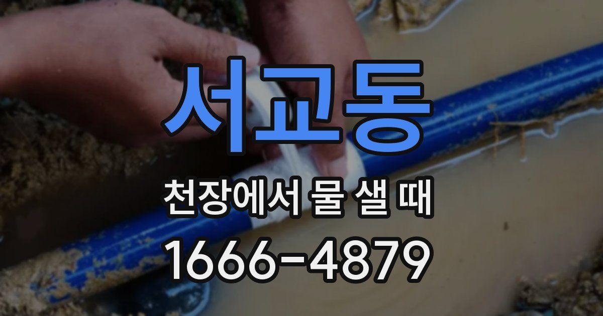 서교동 천장에서 물 샐 때