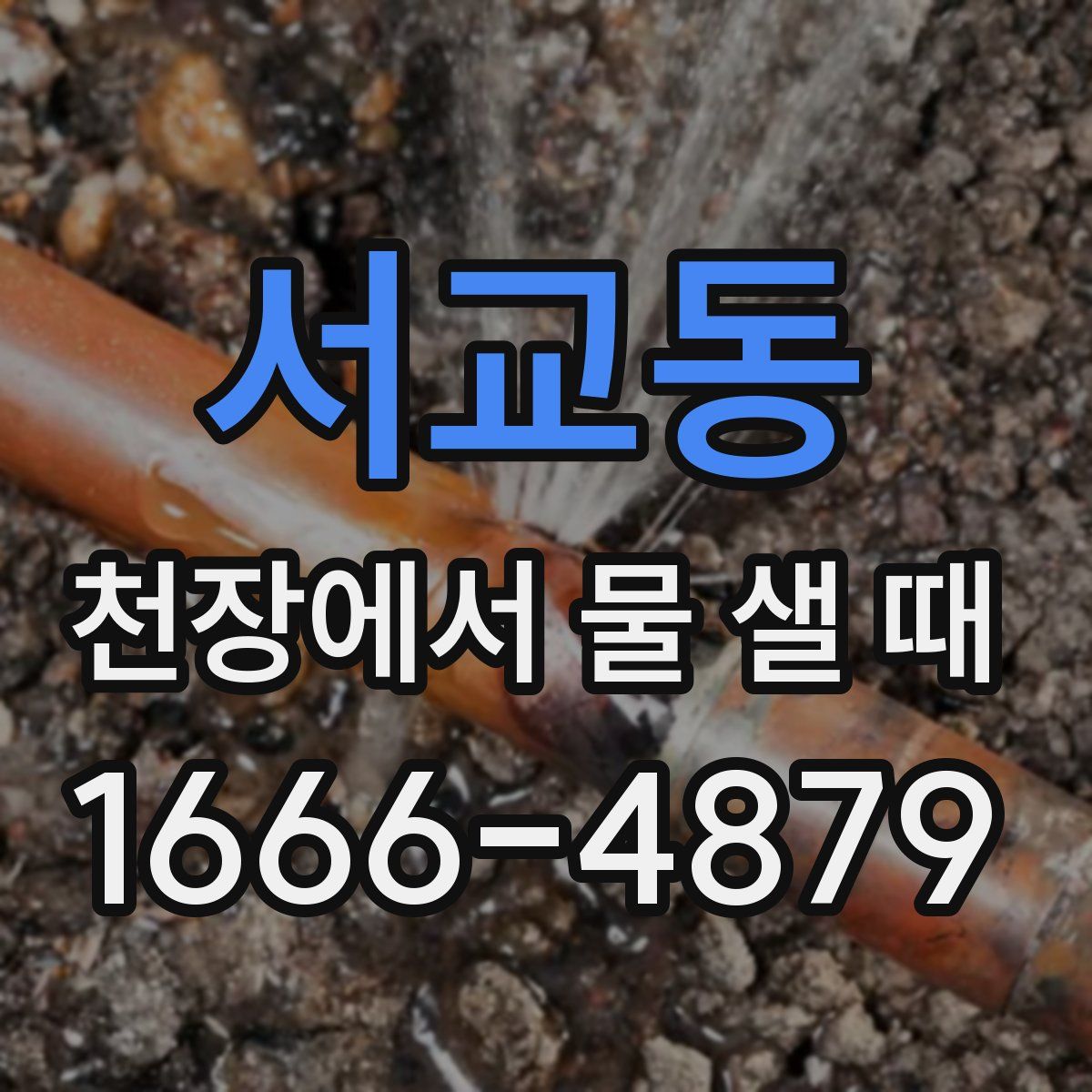 서교동 천장에서 물 샐 때