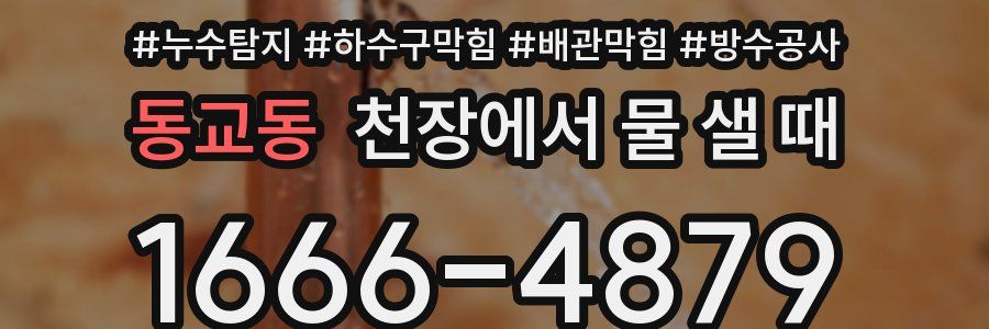 동교동 천장에서 물 샐 때