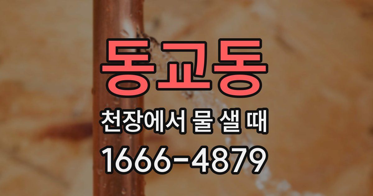 동교동 천장에서 물 샐 때