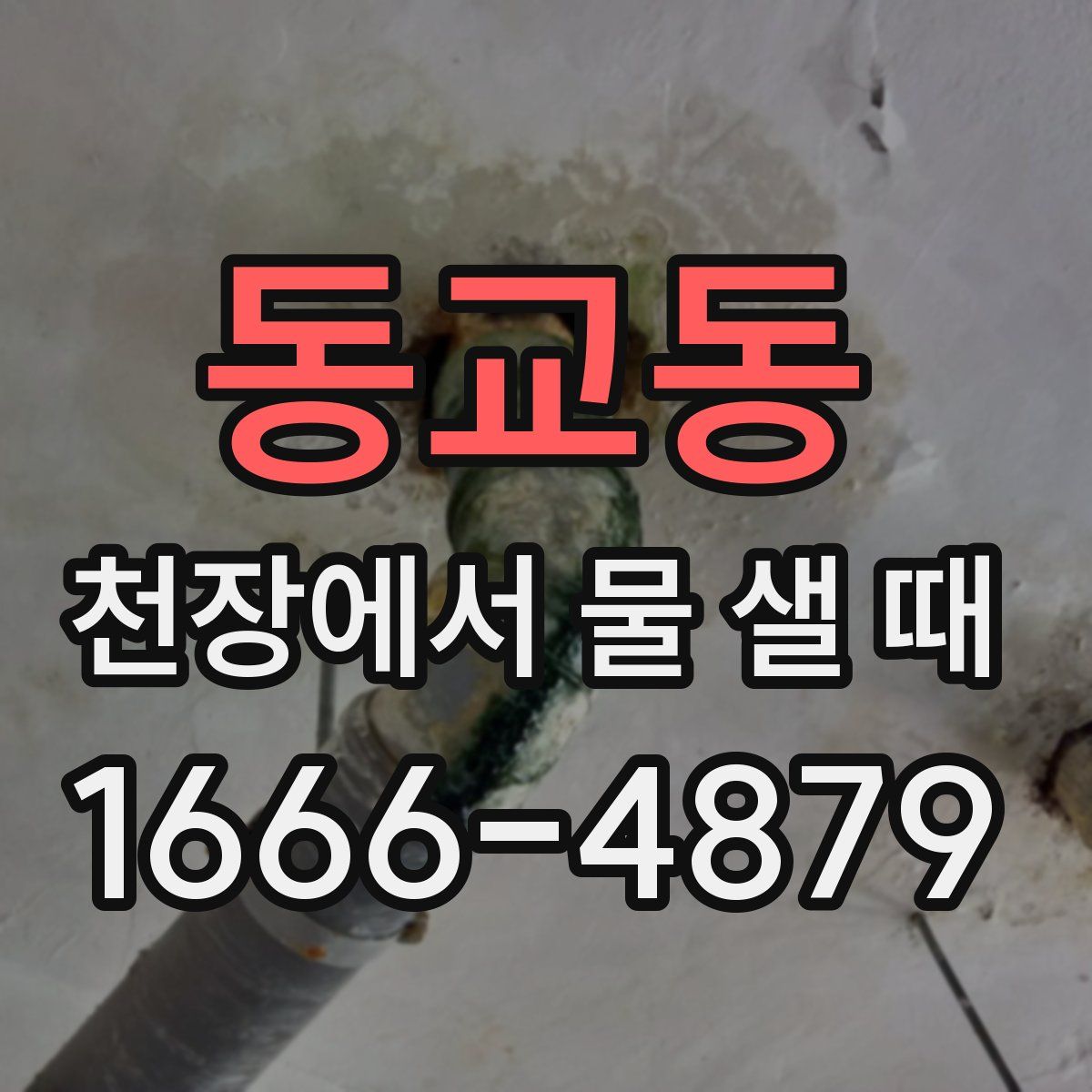 동교동 천장에서 물 샐 때