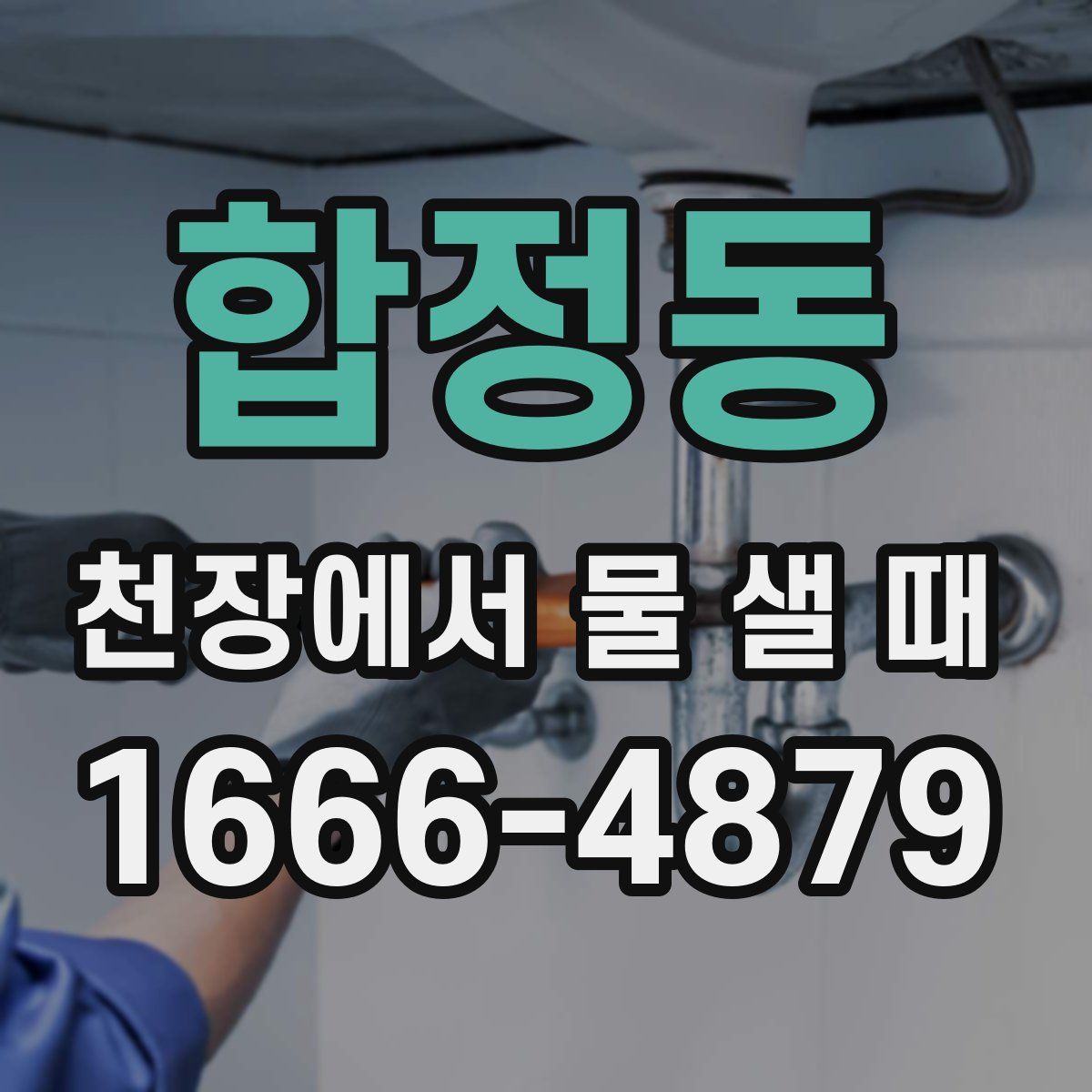 합정동 천장에서 물 샐 때